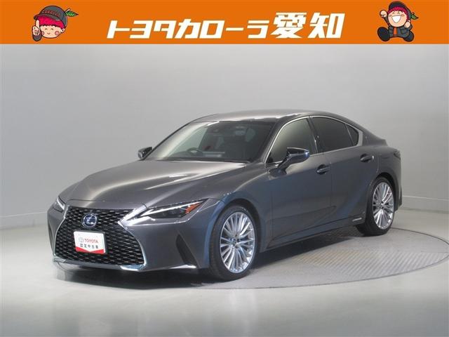 쥯 ɣ ɣӣ衡С̡ﳲڸƥࡡ꡼ʥ