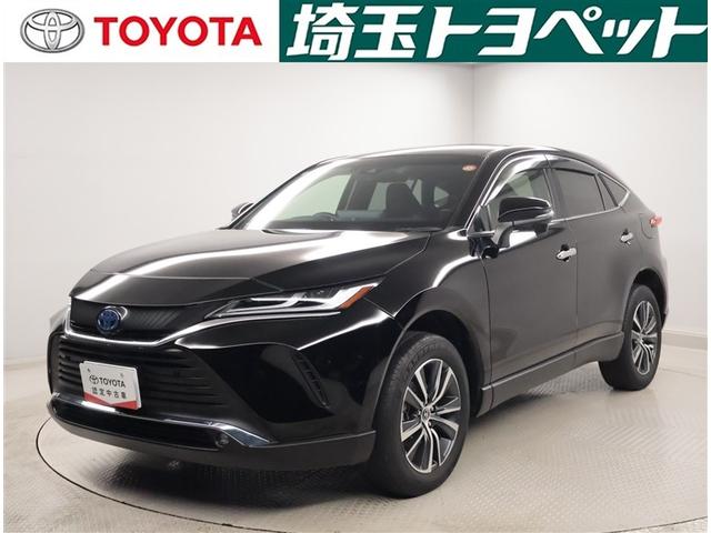 ȥ西 ϥꥢϥ֥å ǡͷڸ̣ţġɥ饤֥쥳