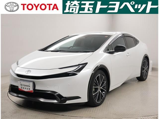 ȥ西 ץꥦ ڡꥢ顡ץꥯå塡Уץ