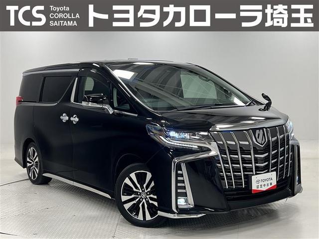 ȥ西 ե ӡåѥåﳲڸ֥졼ȥåס饤ɥࡼ롼