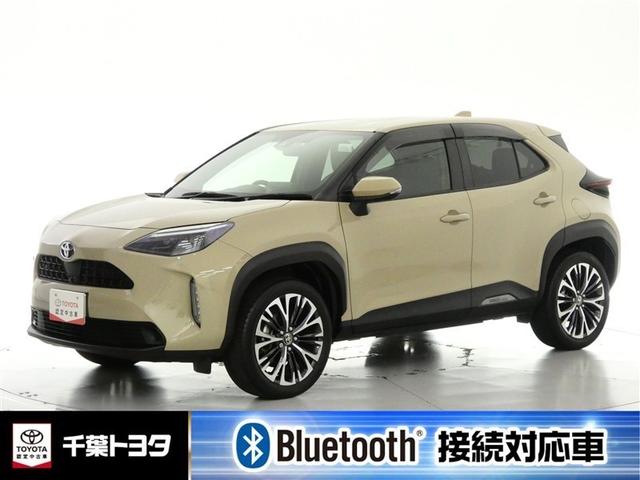 ȥ西 ꥹ ڡߥ塼åץ쥤䡼³ġŸ