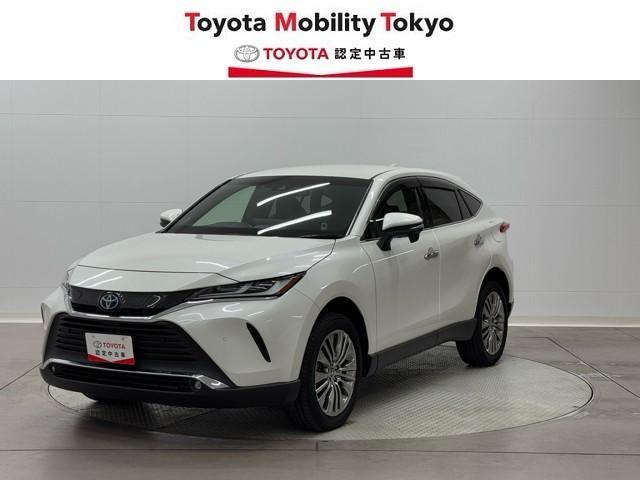 ̡ա롦˸¤餻Ƥޤ 1