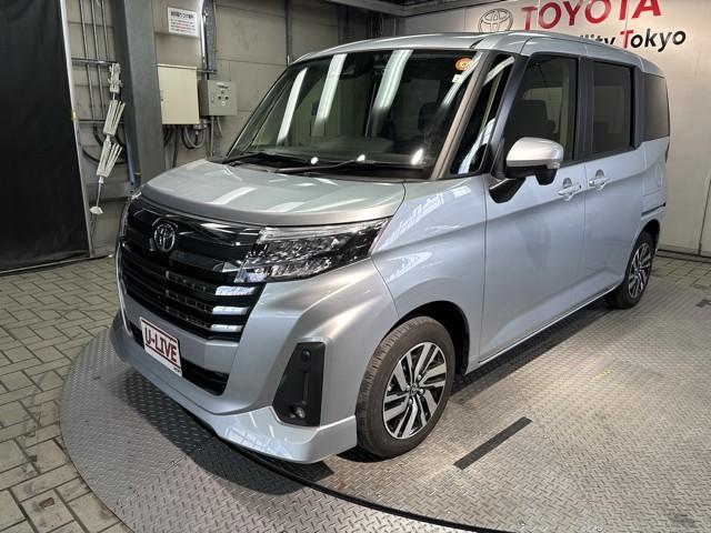 ȥ西 롼ߡ ǡɥ󥰡̣ţĥإåȡХåӥ塼˥