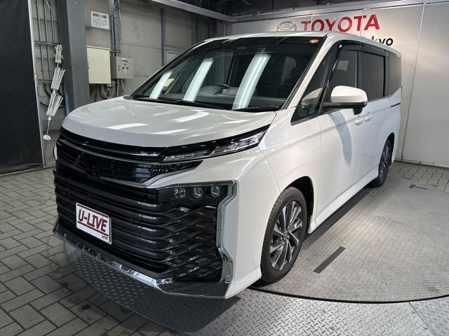 ڥ饤̼ѡ ̡ա롦˸¤餻Ƥޤ 1