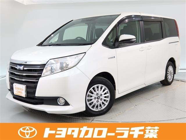 ȥ西 Υ ϥ֥åɣǡǯ̵ݾڡʥӡե륻ԣ