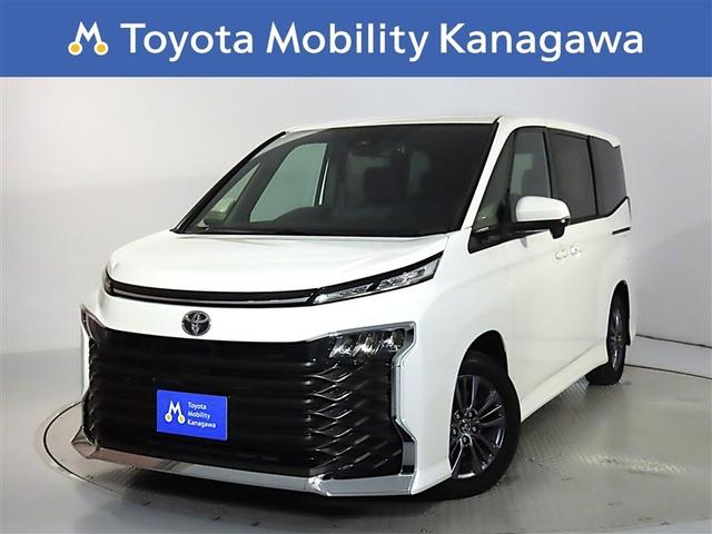 ޡȤʾߤѤ߲¿̤ʥȥ󥸡ͥƥåɥʥӣ 1