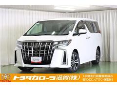 ȥ西եɡӡåѥåե륻꡼ʥ