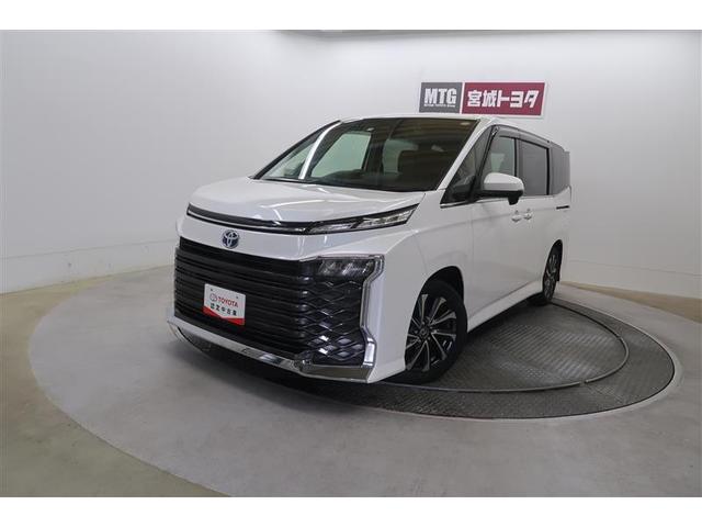 ７人乗り・安全装備充実・ＣＤ・ＤＶＤ再生機能・ＴＶ（フルセグ）・メモリー