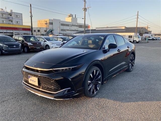 モデリスタエアロ　ドライバーサポートパッケージ２