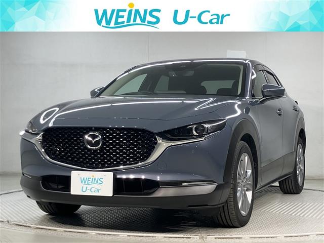 bw|RO(}c_) wc@vANeBu@NR@L[t@aj^[@Փ˔Qy@tZO@AChOXgbv@kdcCg@dsb@~[WbNvC[ڑ@cucĐ@L^@[ir@A~zC[@I[gGAR Îԉ摜