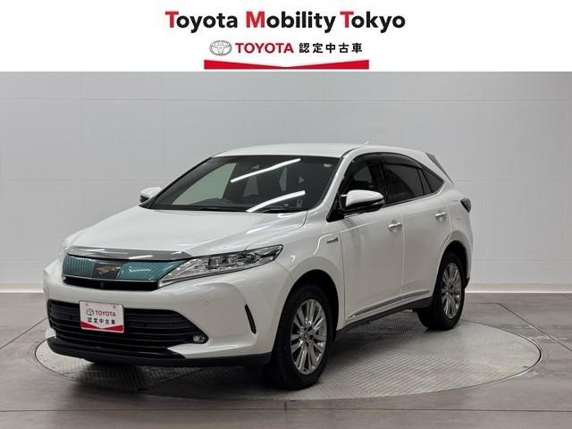 Τͽ򤪴ꤤפޤ ̡ա롦ؤ˸¤餻ĺޤ 1