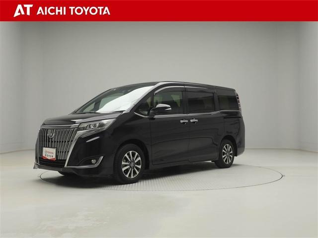 ȥ西  ǣ顡ץߥѥåͷڸʥ