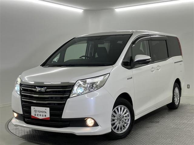 ȥ西 Υ ϥ֥åɣǡҥ顡ޡȥץå她ȡ̣ţĤإåɥ饤