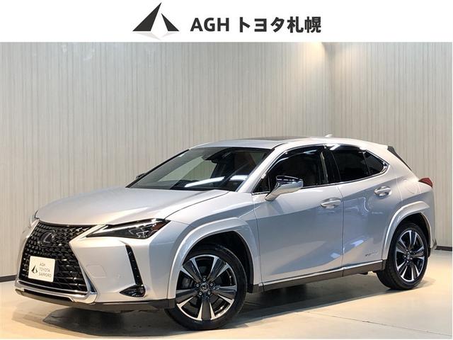 쥯 գ գأ衡СáХå˥ݡϥǥ