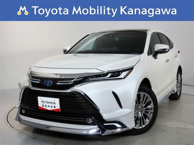 ȥ西 ϥꥢϥ֥å ڡ쥶ѥå