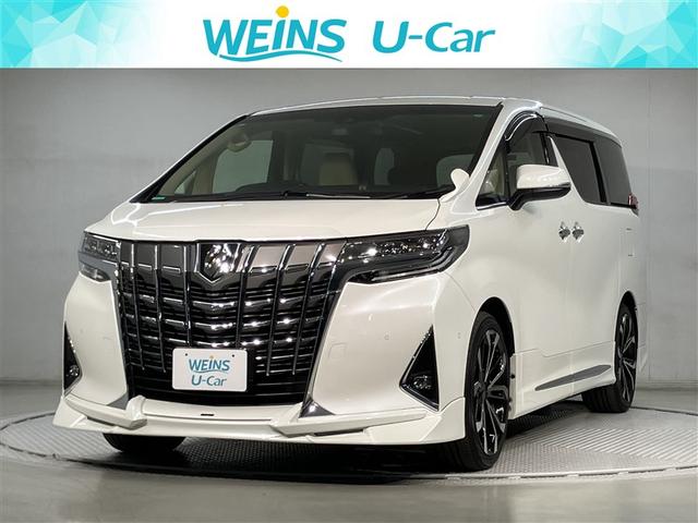 ȥ西 ե ǣơͷڸХå˥ʥӡԣ