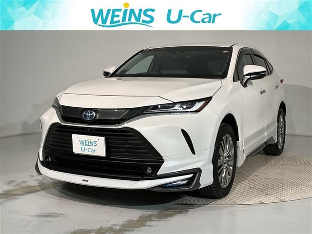 ȥ西 ϥꥢϥ֥å ڡϾǥ롡ﳲڸ