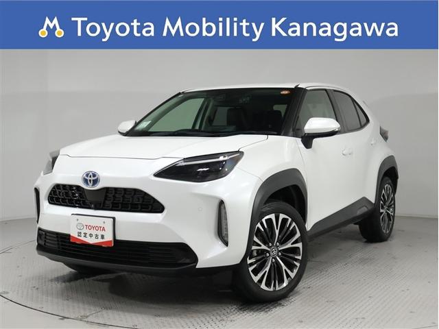 大容量ラゲージスペースでレジャーにもピッタリ・純正ナビ・パノラミックビュ