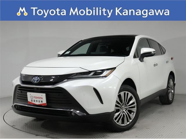 ȥ西 ϥꥢϥ֥å ڡ쥶ѥå