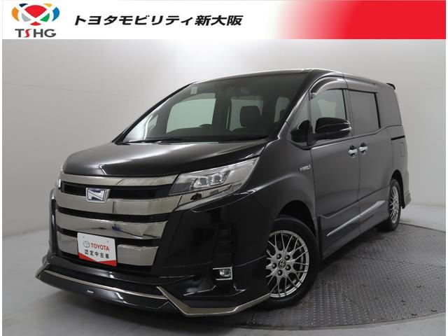 ȥ西 Υ ϥ֥åɣӣ顡֥Хӡɣɡե륻꡼ʥ