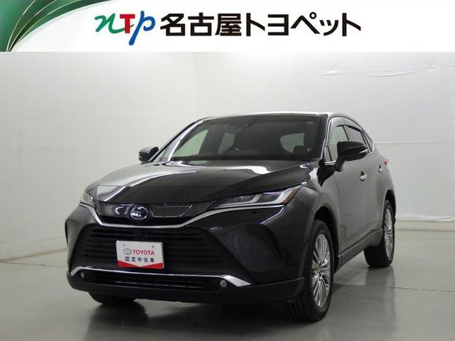 ȥ西 ϥꥢϥ֥å ڡﳲڸƥࡡ꡼ʥӡե륻