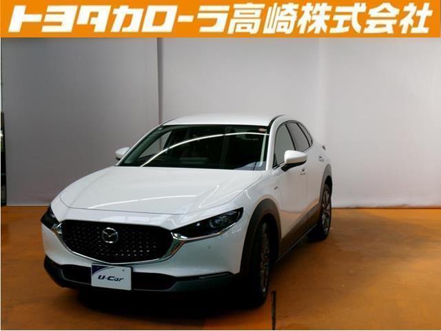 bw|RO(}c_) w@POONʋLOԁ@vV[g@tZO@[ir@cucĐ@obNJ@Փ˔QyVXe@dsb@kdcwbhv@AChOXgbv@[AVXg@I[g}`bNnCr[@V[gq[^@phVtg Îԉ摜