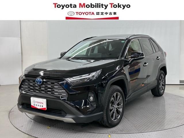 ȥ西 ң֣ ϥ֥åɣǡﳲڸ֡ɥ饤֥쥳ѥΥޥ롼