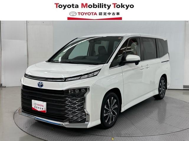 Ȥɹ͵ȣ֣ӡݣо졪 1