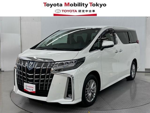 ȥ西 եɥϥ֥å ӣҡåѥåϿ󥪥