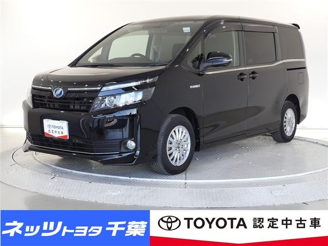  ϥ֥åɣ֡ե륻꡼ʥӡʥ˥ 0501669A20251129T007 1