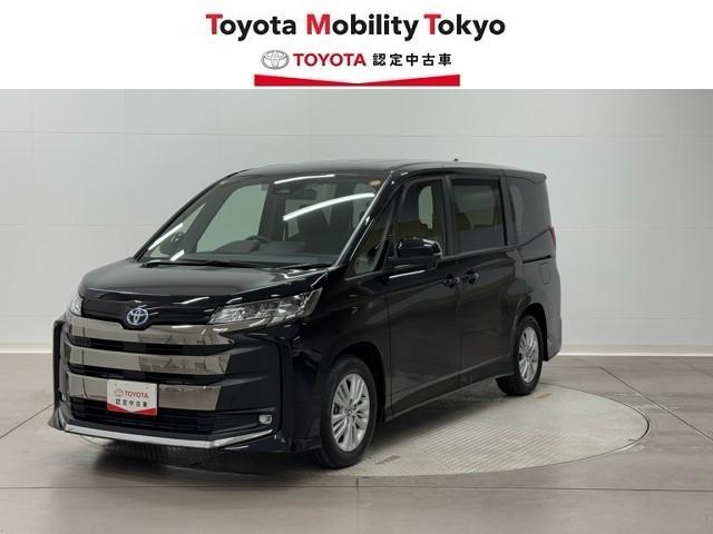 ȥ西 Υ ϥ֥åɣӡݣǡξưɥͲ֥졼֥륨