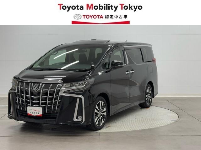 ȥ西 ե ӡåѥåξưɥ¥˥