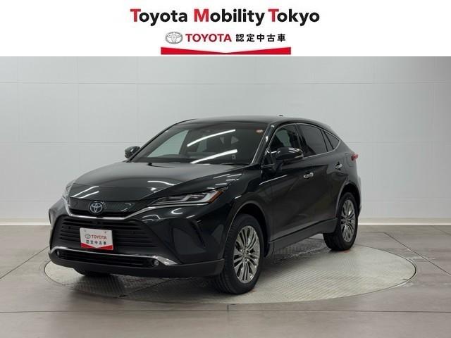 ȥ西 ϥꥢϥ֥å ڡ쥶ѥåѥΥޥ롼աϥǥ