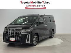 ȥ西եɡӡåѥåξưɥ¥˥