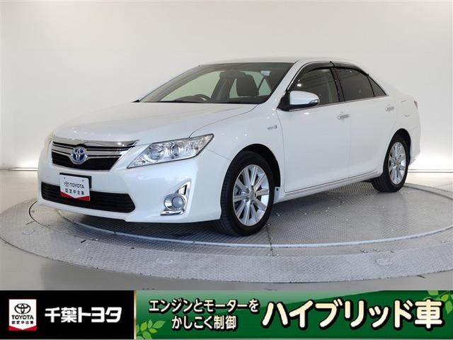 ȥ西  ϥ֥åɡǥѥåߥ塼åץ쥤䡼³ġߥۥ