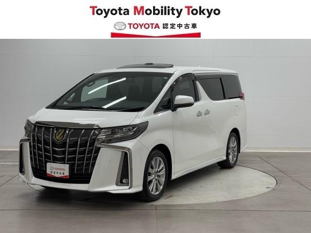 ȥ西 ե ӡץɡӡХå˥