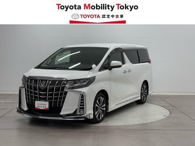 ȥ西 ե ӡåѥåξưɥ¥˥