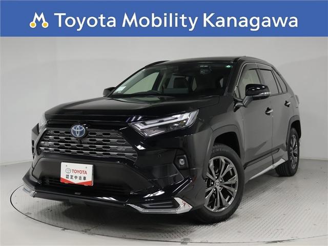 ѥΥޥࡼ롼աǥꥹģʥӡϥ 1