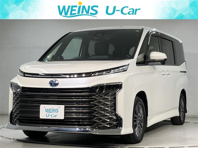 ȥ西  ϥ֥åɣӡݣǡﳲڸ֥졼ǥץ쥤ǥʥ