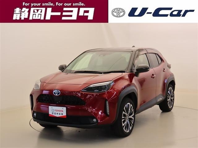 誠に勝手ながら静岡県内のみの販売に限らせて頂きます。