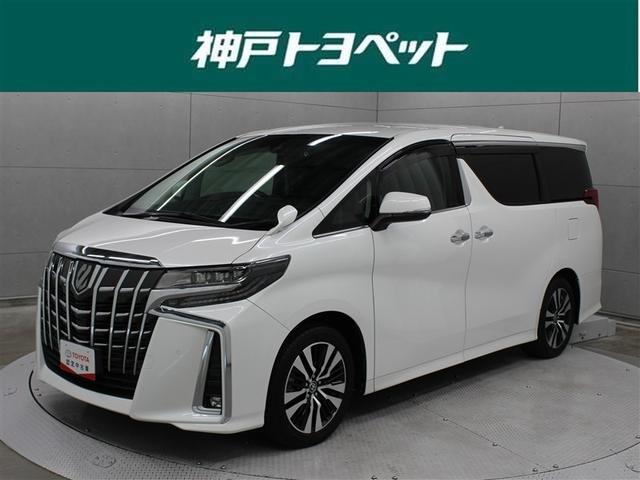 ȥ西 ե ӡåѥåե륻꡼ʥ