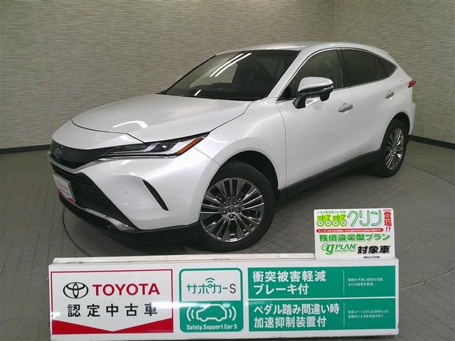 Ũʥ饤դҤΥȥ西ǧż֤ǡ Ȥ곰ƥǴݻͤǤ 1