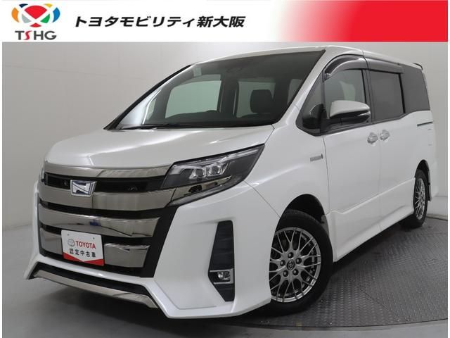 ȥ西 Υ ϥ֥åɣӣ顡֥Хӡե륻꡼ʥ