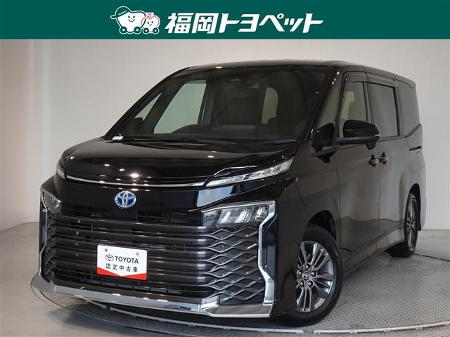 ȥ西  ϥ֥åɣӡݣǡﳲڸƥࡡ꡼ʥӡե륻