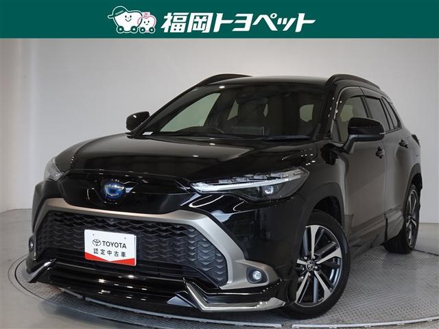 ȥ西 饯 ϥ֥åɡڡﳲڸƥࡡ꡼ʥ