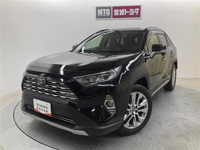 ＲＡＶ４(トヨタ) Ｇ　Ｚパッケージ　４ＷＤ　フルセグ　メモリーナビ　ＤＶＤ再生　バックカメラ　衝突被害軽減システム　ＥＴＣ　ドラレコ　ＬＥＤヘッドランプ　ワンオーナー　記録簿 中古車画像