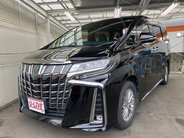 ȥ西 եɥϥ֥å ӡץɡࡼ롼աʥ