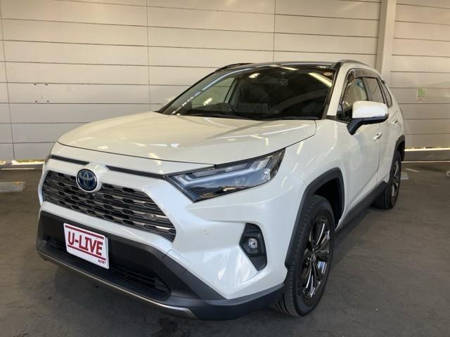 ȥ西 ң֣ ϥ֥åɣǡﳲڸ֡ɥ饤֥쥳ѥΥޥ롼