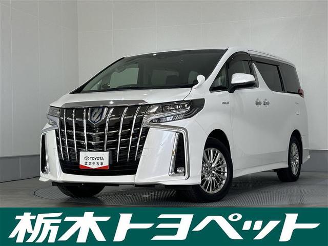 ȥ西 եɥϥ֥å ӣҡåѥåϿ󥪥