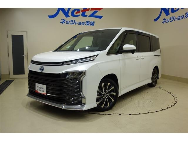 븩ˤޤؤ˸¤餻Ƥޤ ڣ׵ťƥۣģʥӡܣʥ˥ܣ¥顿 1